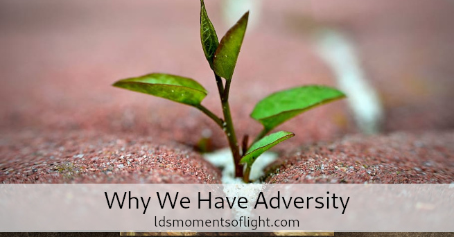 Why We Have Adversity